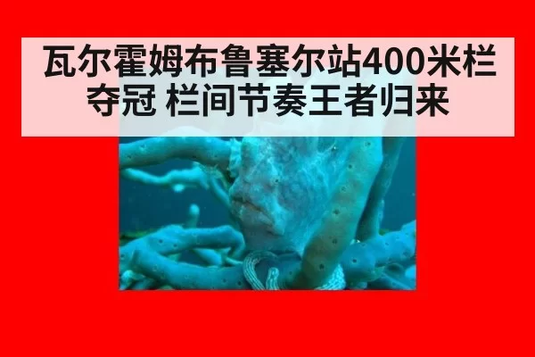 瓦尔霍姆布鲁塞尔站400米栏夺冠 栏间节奏王者归来